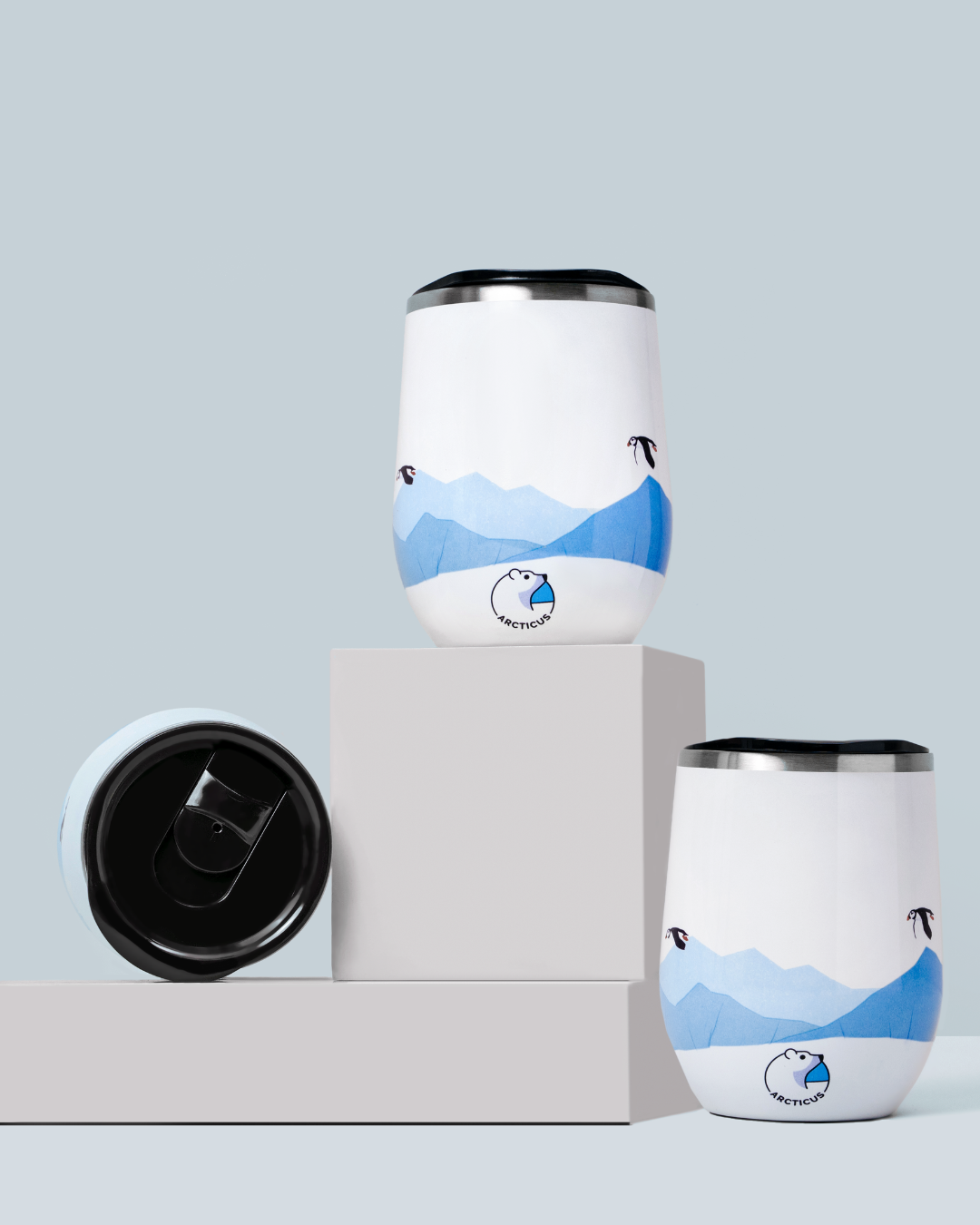 The Arctic Box-4