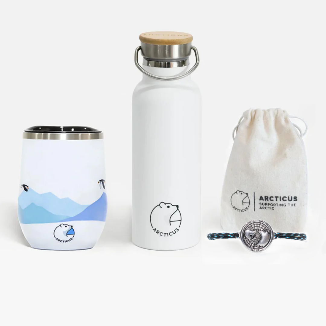 The Arctic Box-1