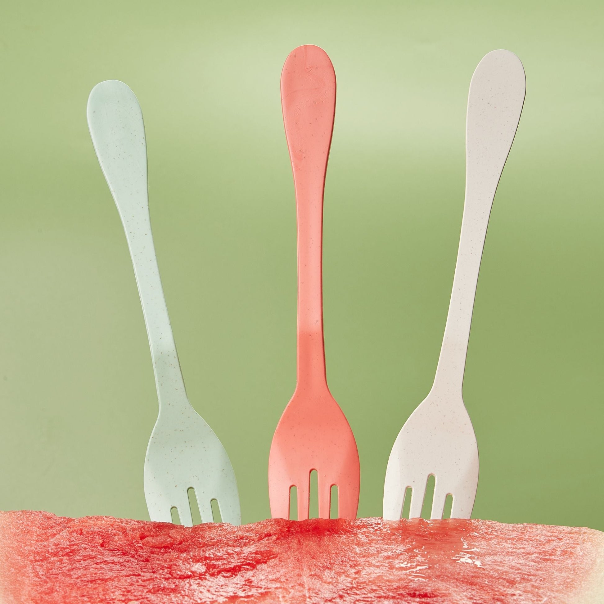 NEW Eco 12 Piece (Fork, Knife, Spoon)-2