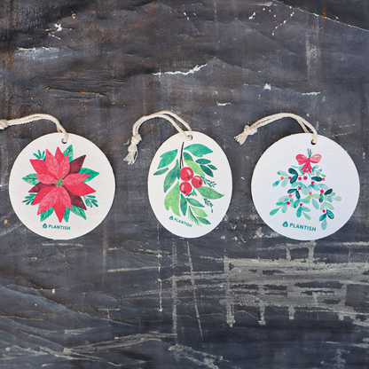 Mistletoe - Pop Up Sponge (Holiday Exclusive)-2