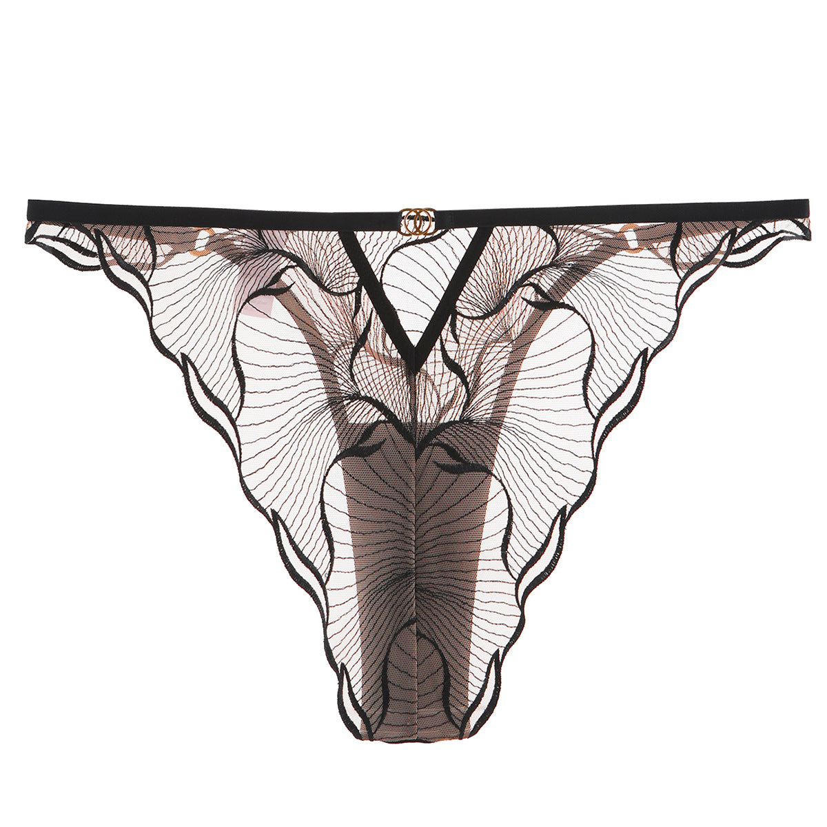 Transparent Embroidered Lace Lingerie Set with Low Waist and Triangle Pants, Greenwich Village, BYMANYC New York.-2