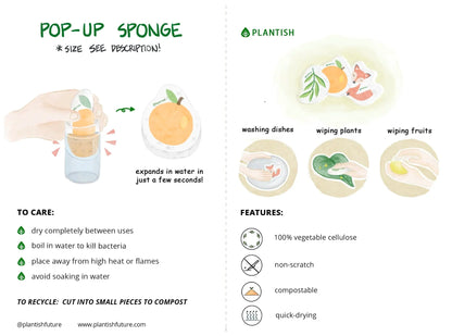Set of 3 Bestselling Pop up Sponges-3